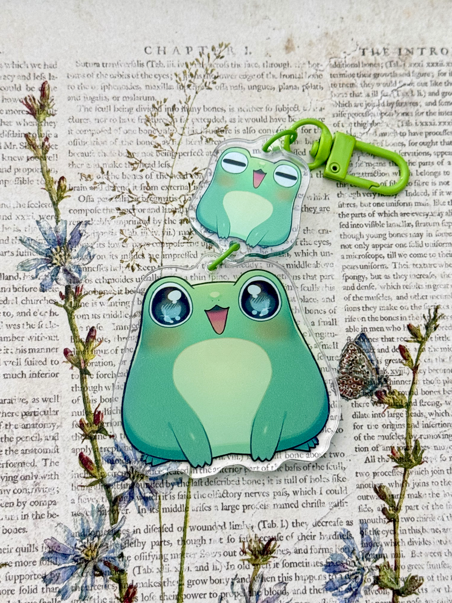 Pog the Frog Keychain