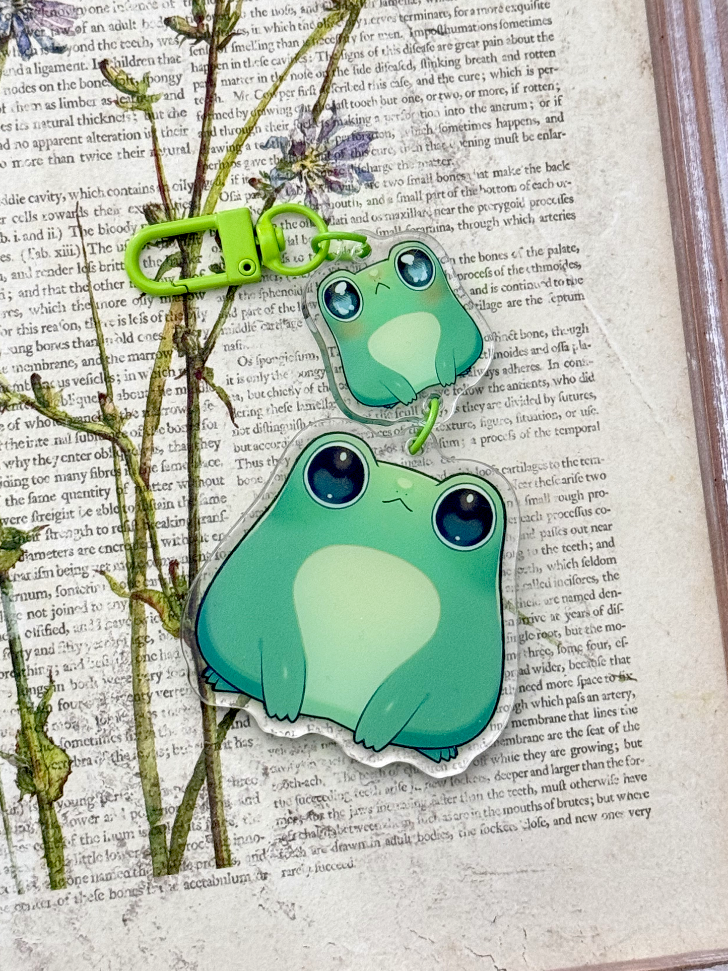 Pog the Frog Keychain